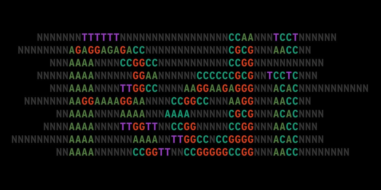 Repeat Detection Index project thumbnail